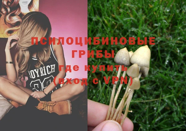 прущий лед Елабуга