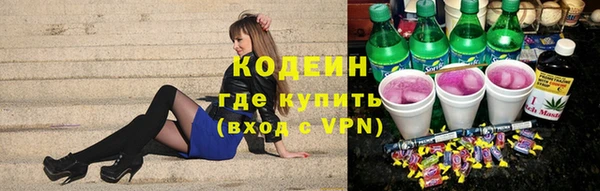 ГАЛЛЮЦИНОГЕННЫЕ ГРИБЫ Арсеньев