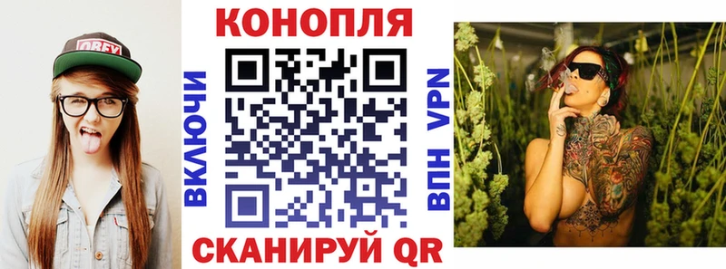 Бошки марихуана конопля Бабаево